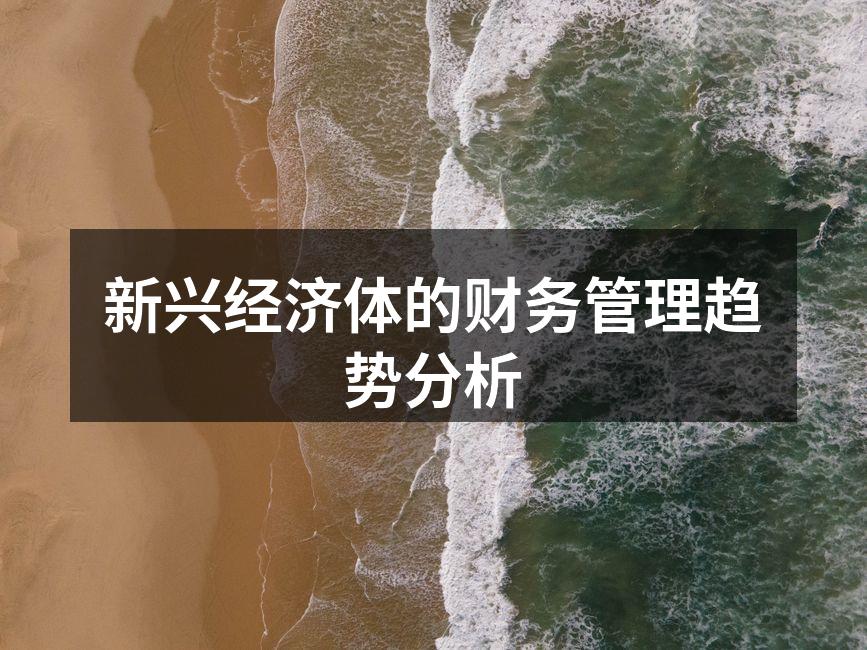 新兴经济体的财务管理趋势分析