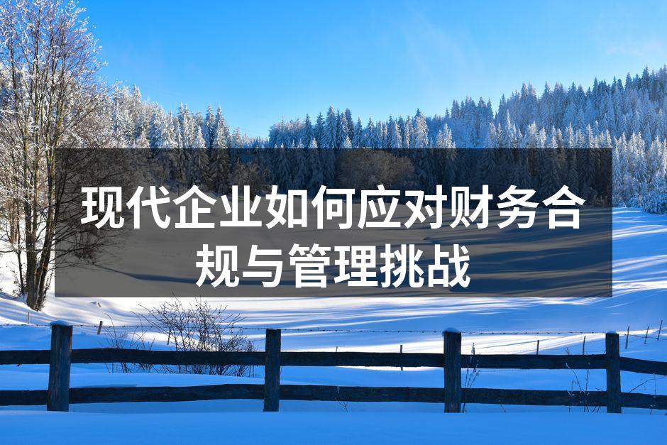现代企业如何应对财务合规与管理挑战