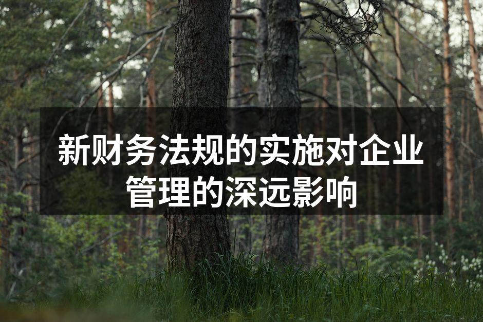 新财务法规的实施对企业管理的深远影响