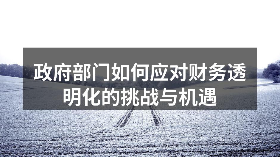 政府部门如何应对财务透明化的挑战与机遇